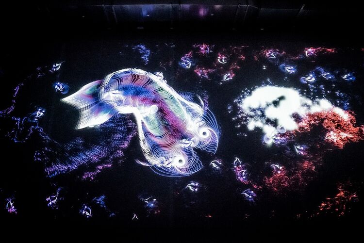 Philipp Artus, Aquatics, 2022&ndash;2025, Interaktive Animation