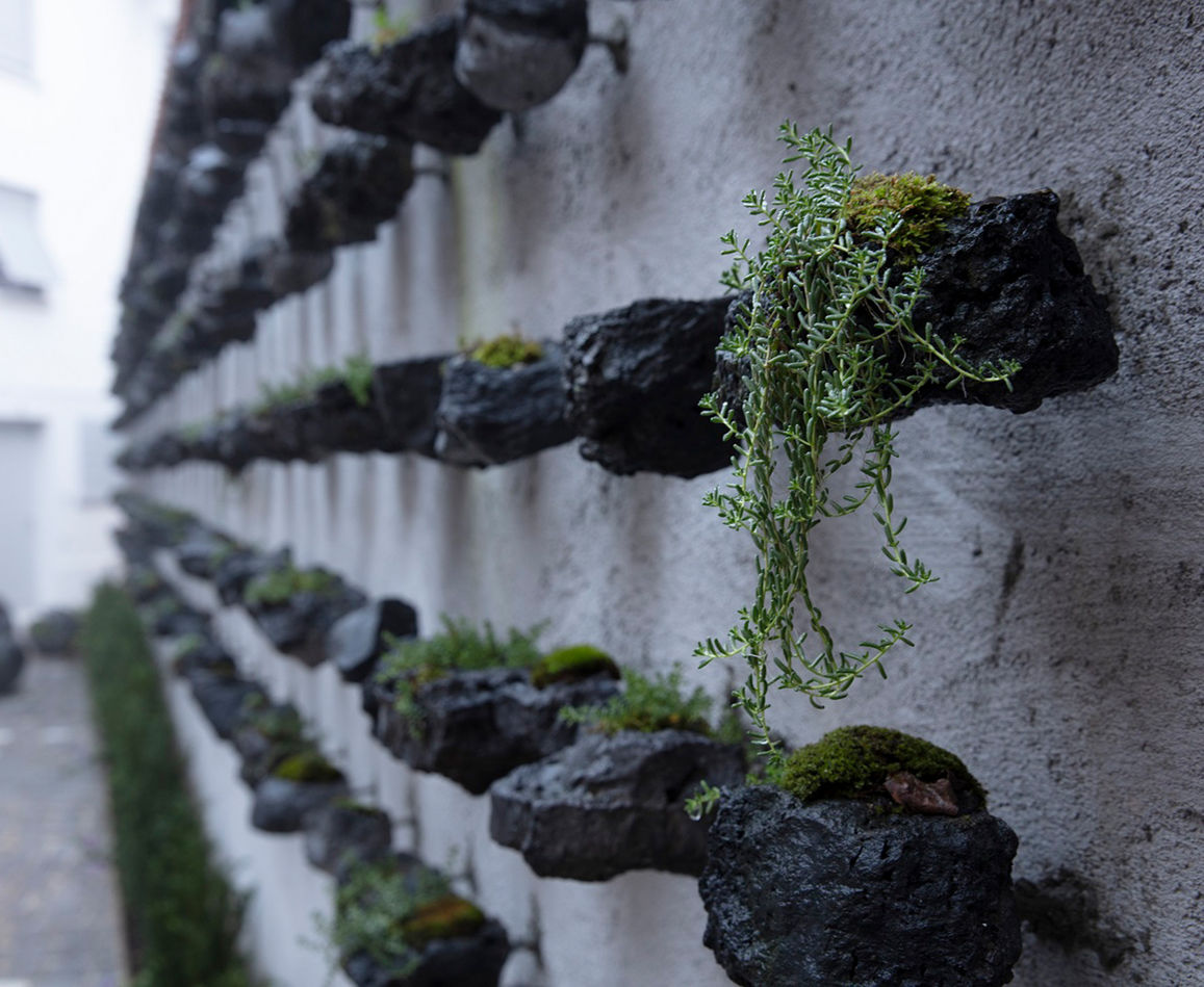 Jamie North, Stone Field, 2022, Photo: Jamie North