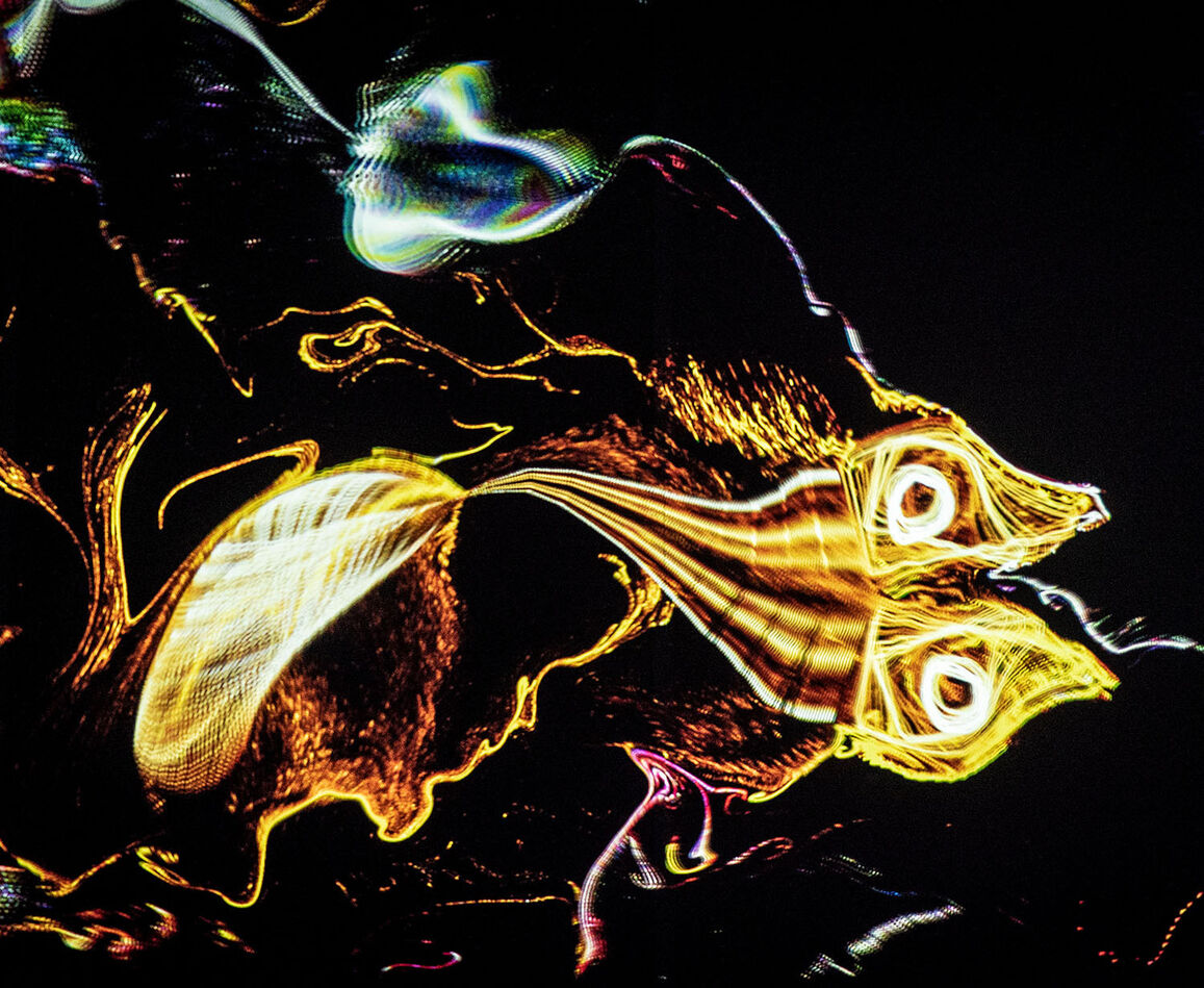 Philipp Artus, Aquatics, 2022–2025 Interaktive Animation