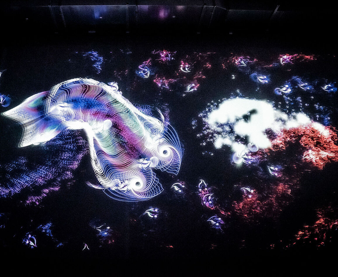 Philipp Artus, Aquatics, 2022–2025 Interaktive Animation