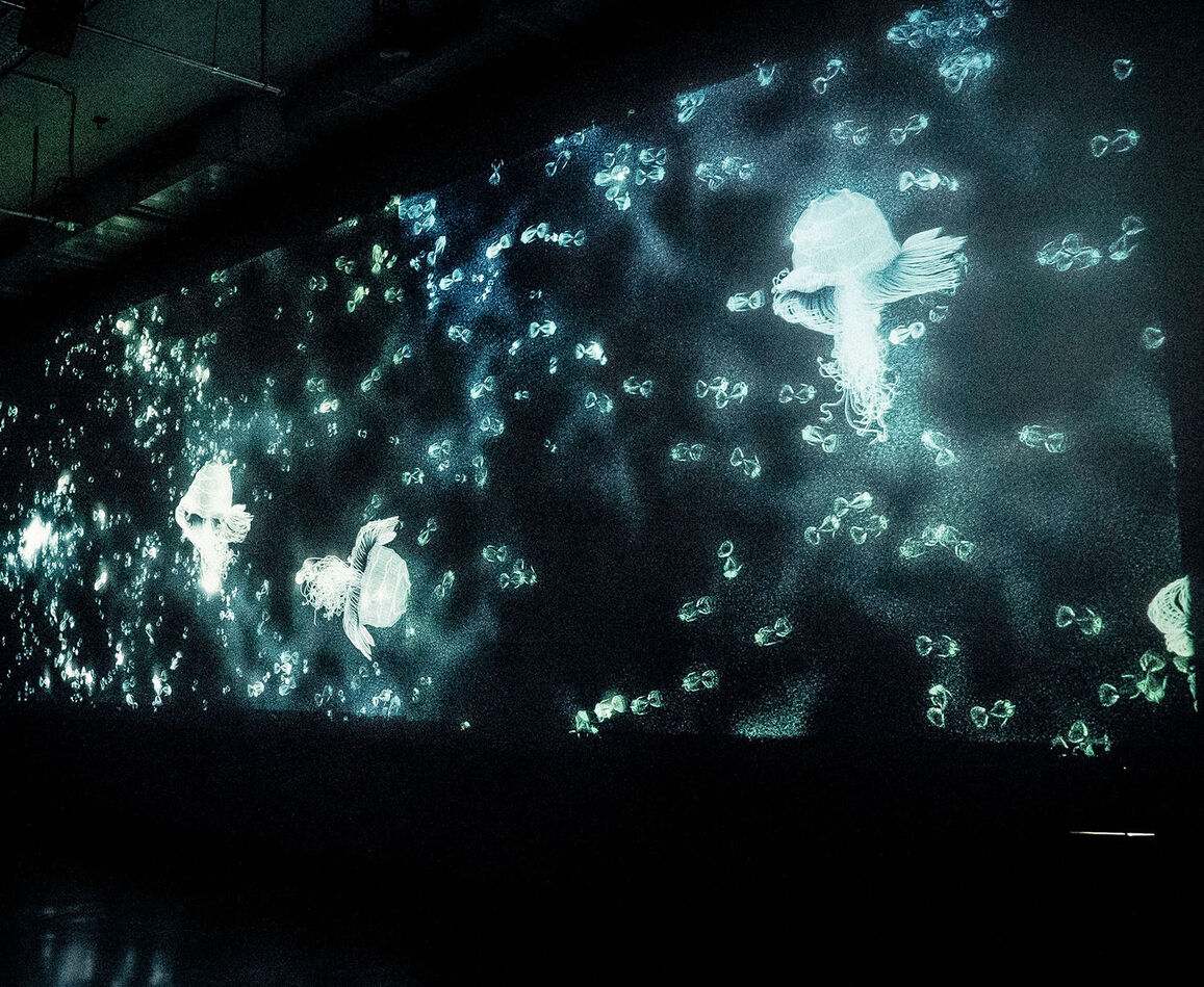 Philipp Artus, Aquatics, 2022–2025 Interaktive Animation